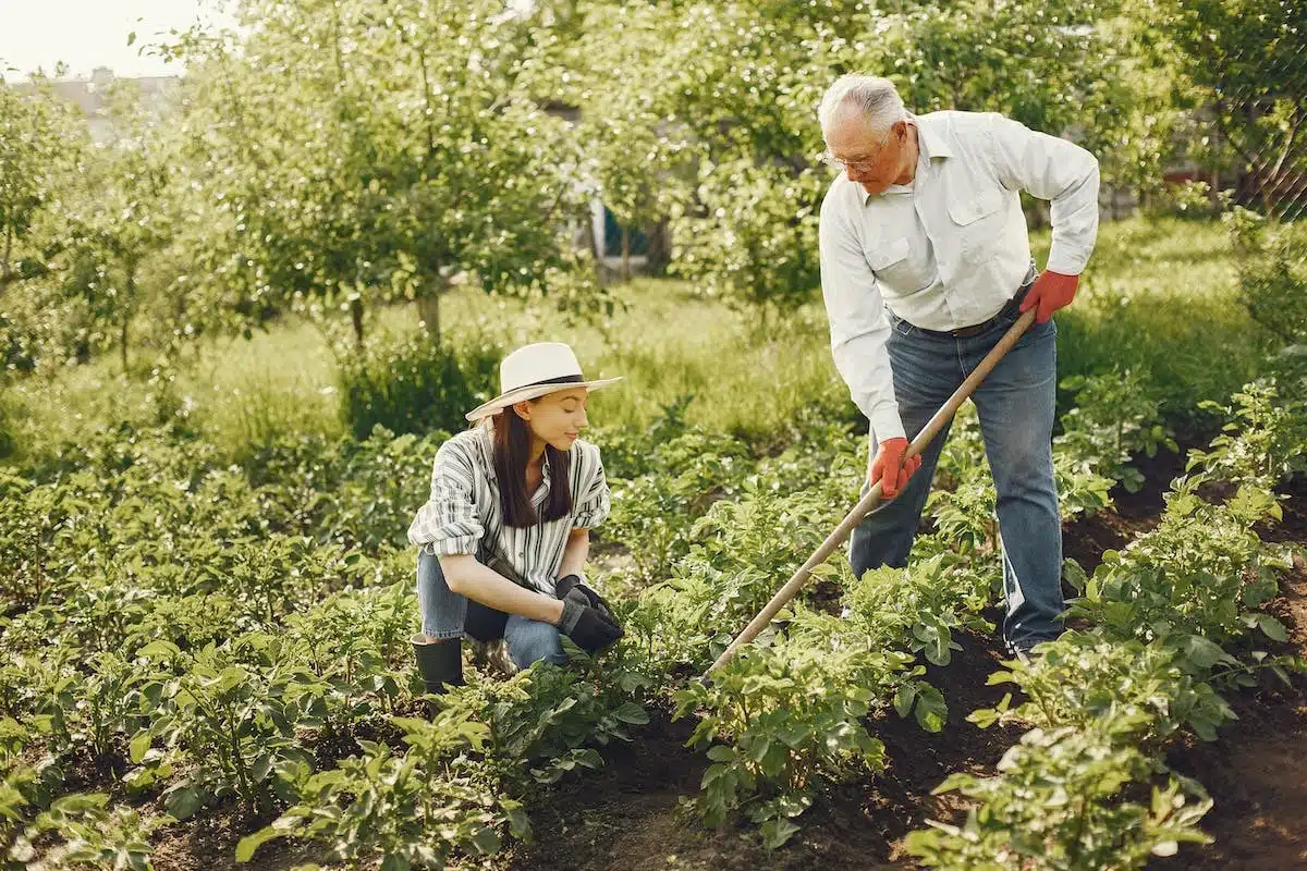 famille jardinage